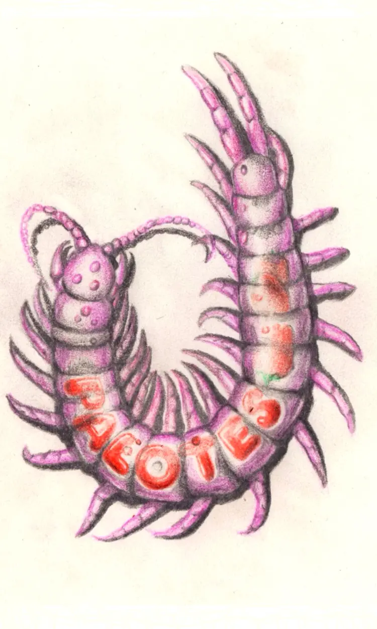 Diseño escolopendra
